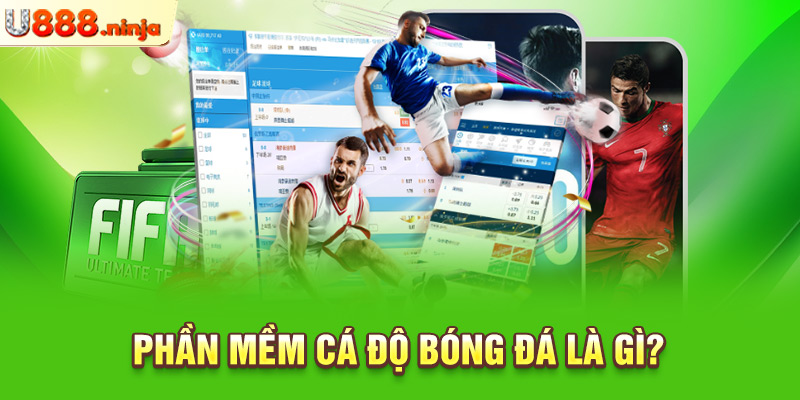 Phần mềm cá độ bóng đá là gì?